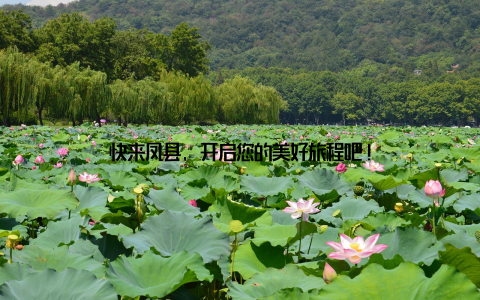 快来凤县, 开启您的美好旅程吧!