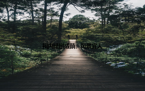 祠内绿树成荫, 风景宜人