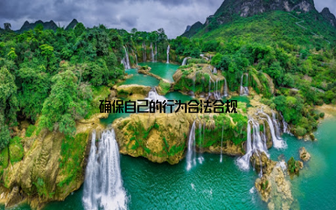 确保自己的行为合法合规