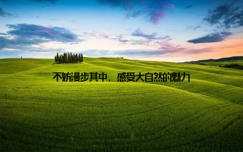 不妨漫步其中, 感受大自然的魅力