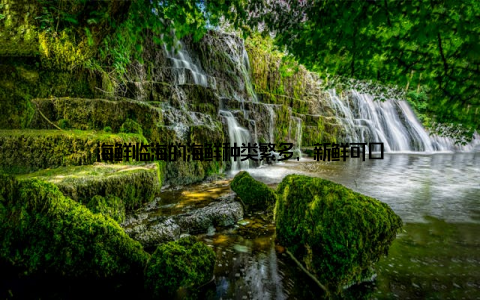 海鲜临海的海鲜种类繁多, 新鲜可口