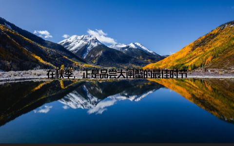 在秋季, 正是品尝大闸蟹的最佳时节