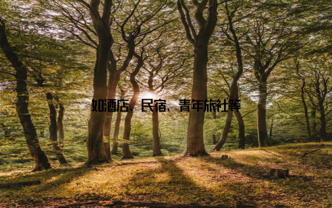 如酒店、民宿、青年旅社等