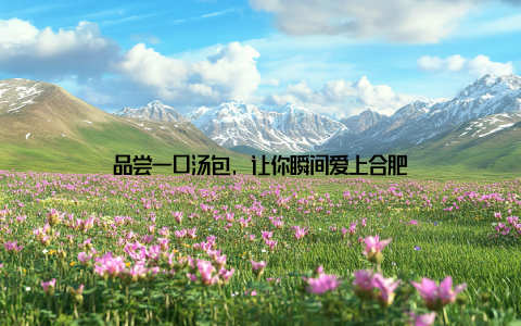 品尝一口汤包, 让你瞬间爱上合肥