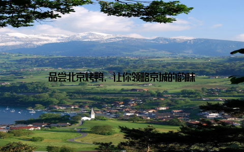 品尝北京烤鸭, 让你领略京城的韵味