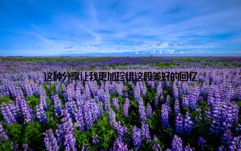 这种分享让我更加珍惜这段美好的回忆