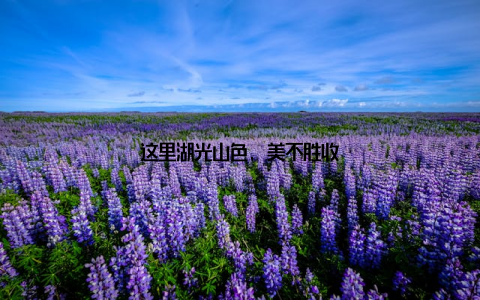 这里湖光山色, 美不胜收