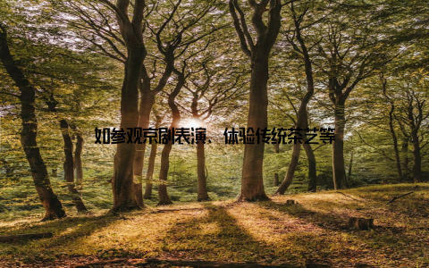 如参观京剧表演、体验传统茶艺等