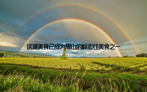 这道美食已成为眉山的标志性美食之一