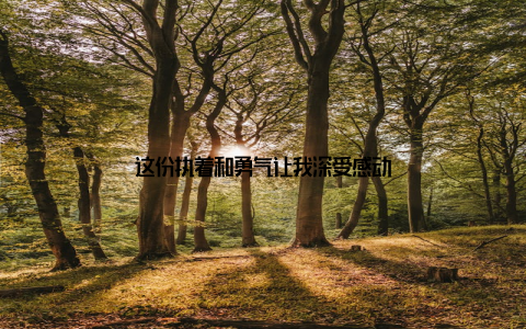 这份执着和勇气让我深受感动