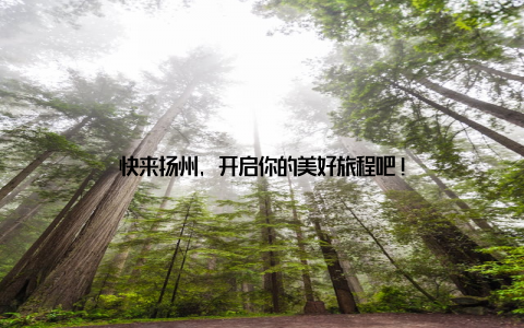 快来扬州, 开启你的美好旅程吧!