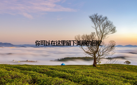 你可以在这里留下美丽的回忆