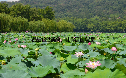 品尝这些美食, 让你流连忘返