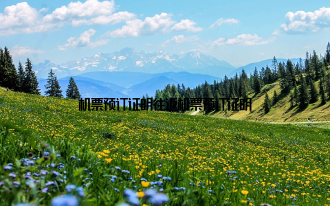 机票预订证明往返机票预订证明