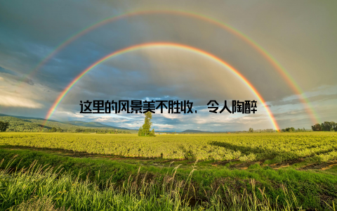 这里的风景美不胜收, 令人陶醉