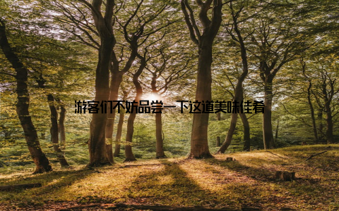 游客们不妨品尝一下这道美味佳肴