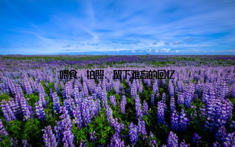 喂食、拍照, 留下难忘的回忆