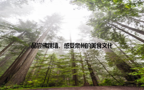 品尝佛跳墙, 感受泉州的美食文化