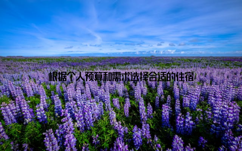 根据个人预算和需求选择合适的住宿