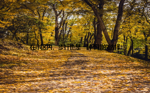 在市区内, 步行也是一种不错的选择